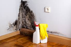 Mold Remediation for Rental Properties in Mount Pleasant, IA